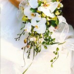 Hoa cô dâu 33