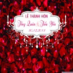 PHÔNG IN BẠT14